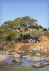 A Sunday service, led by Paul Ilgers with Snoya Liwonde translating, is conducted under a tree.