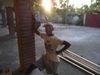 DSCF4118.JPG