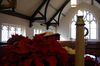 DSC_0112.JPG