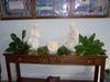 100_0152.jpg.JPG