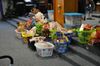 2011 Mount Pix 098.JPG