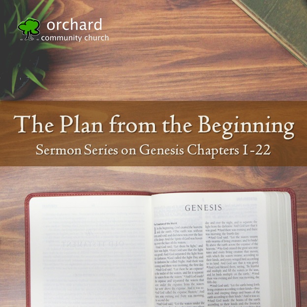 The Plan from the Beginning Series Logo