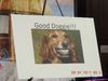 DSCN1178.JPG