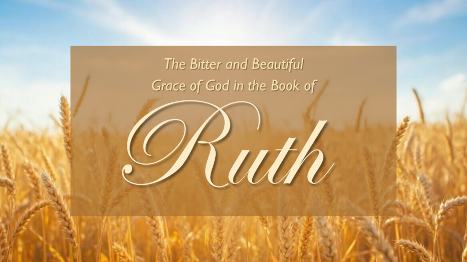 The Bitter and Beautiful Grace of God in the Book of Ruth - series logo