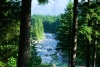 669132_RoaringRiverPhillipHalvorson004.jpg