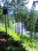 523806_2010Maybirdhouse.jpg