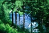 523811_RoaringRiverPhillipHalvorson002.jpg