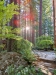 propertymiscGooglereview080322.jpg