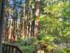 propertymisc2Googlereview080523.jpg