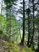 propertymisc3Googlereview050924.jpg