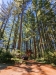 propertymisc3Googlereview080322.jpg