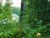 riverGooglereview0625.jpg